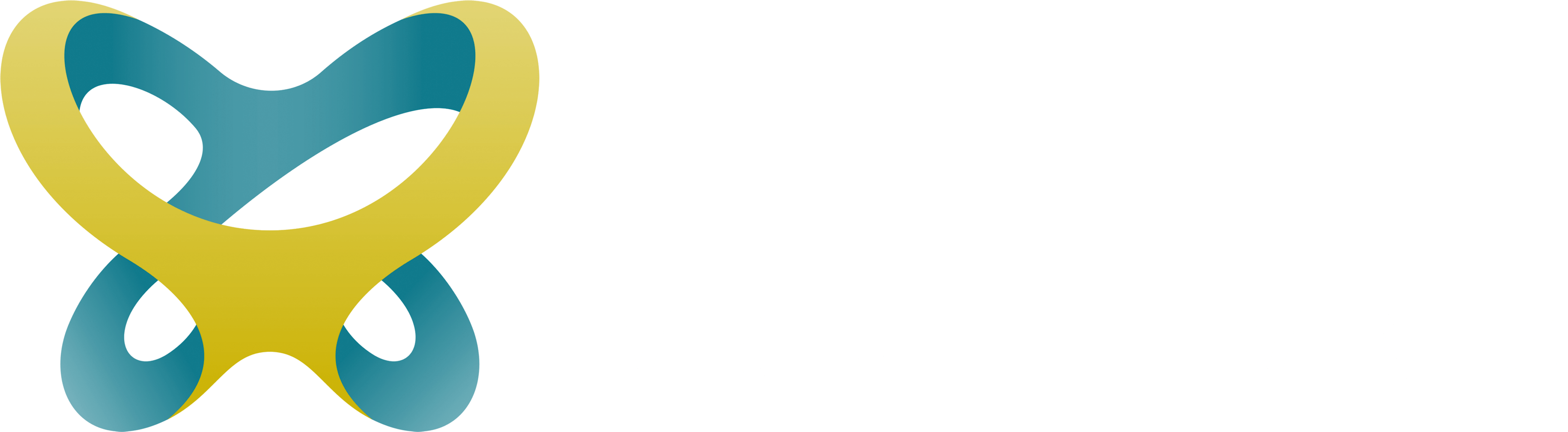 EXPO-X Next